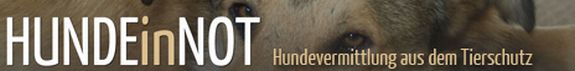 hunde-in-not.com Banner
