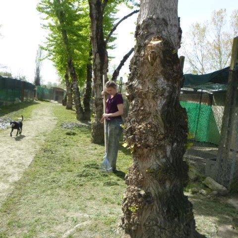 Cynthia & Jessica April18 (16)