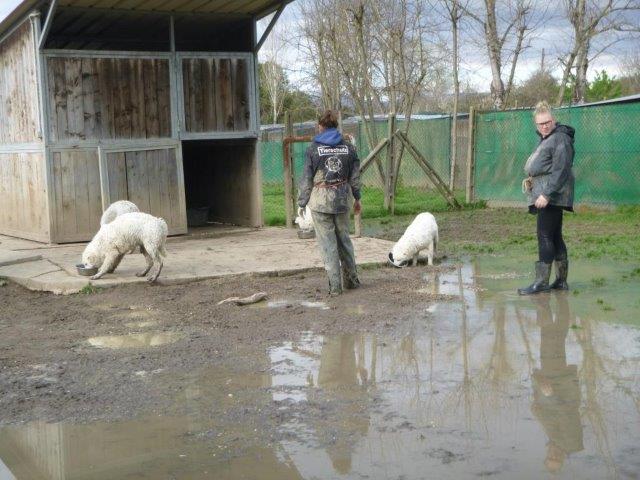 Cynthia & Jessika März18 (26)