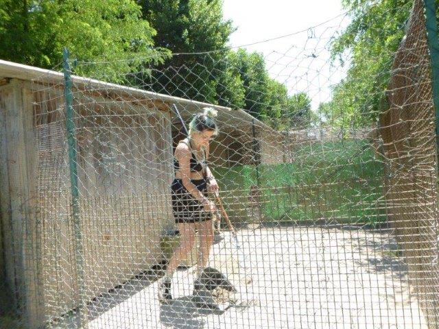 Bei der Arbeit Juni19 (2)