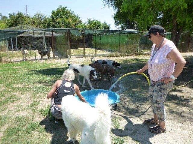 Bei der Arbeit Juni19 (6)