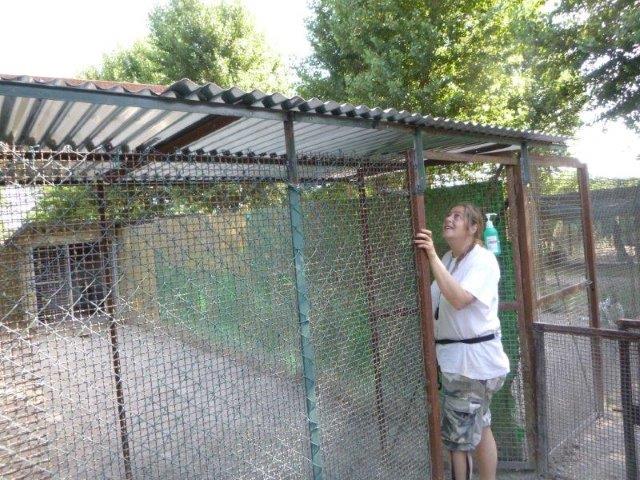 Sonnenschutz Juni19 (1)