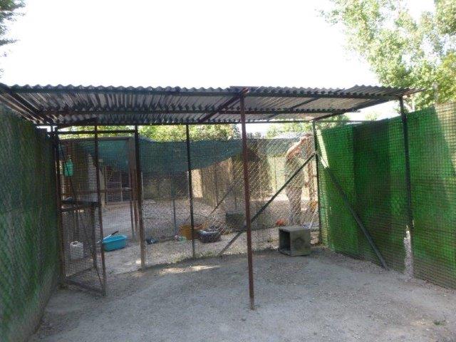 Sonnenschutz Juni19 (4)