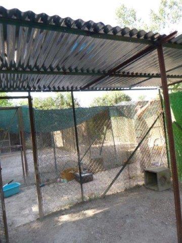 Sonnenschutz Juni19 (5)