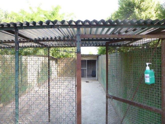 Sonnenschutz Juni19 (6)