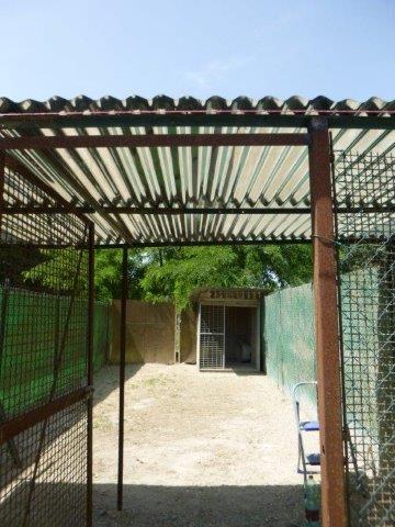 Sonnenschutz Juni19 (9)