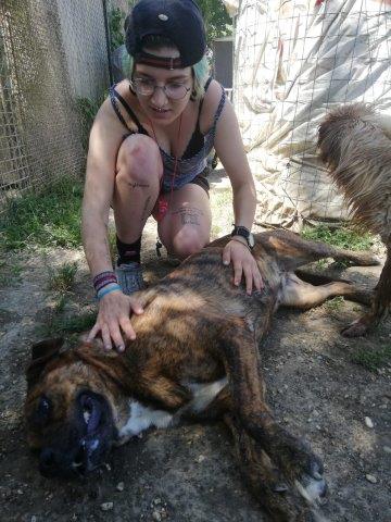 WhatsApp Image 2019-06-20 at 21.22.47