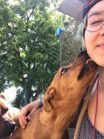 WhatsApp Image 2019-06-20 at 21.22.48 (2)