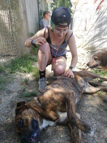 WhatsApp Image 2019-06-20 at 21.22.48