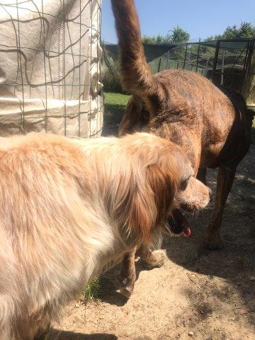 WhatsApp Image 2019-06-20 at 21.22.49 (1)