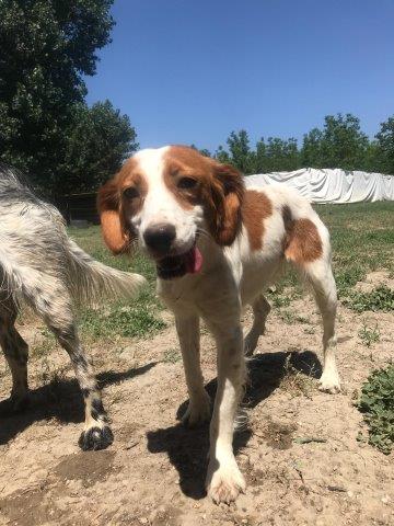 WhatsApp Image 2019-06-20 at 21.22.49