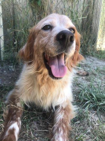 WhatsApp Image 2019-06-20 at 21.22.50 (2)