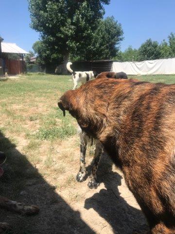 WhatsApp Image 2019-06-20 at 21.22.50