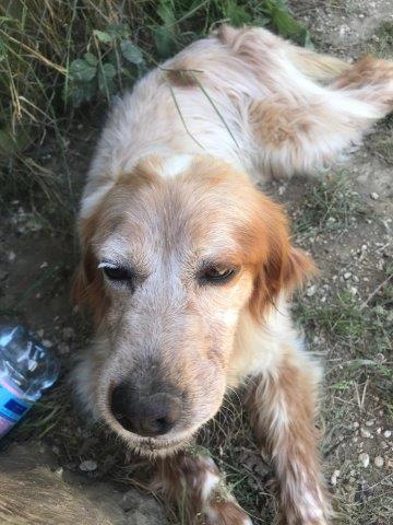 WhatsApp Image 2019-06-20 at 21.22.51 (1)