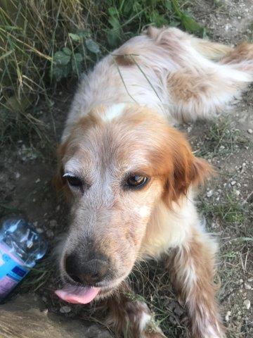 WhatsApp Image 2019-06-20 at 21.22.51