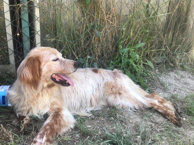 WhatsApp Image 2019-06-20 at 21.22.52 (1)