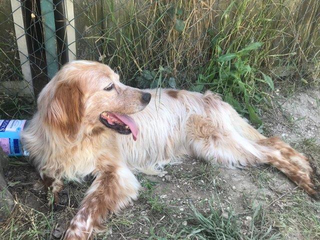 WhatsApp Image 2019-06-20 at 21.22.52 (2)