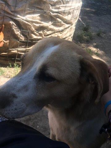 WhatsApp Image 2019-06-20 at 21.22.53 (1)