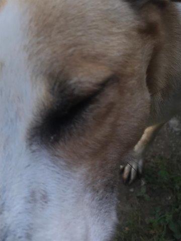 WhatsApp Image 2019-06-20 at 21.22.54 (1)