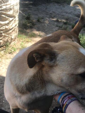 WhatsApp Image 2019-06-20 at 21.22.54