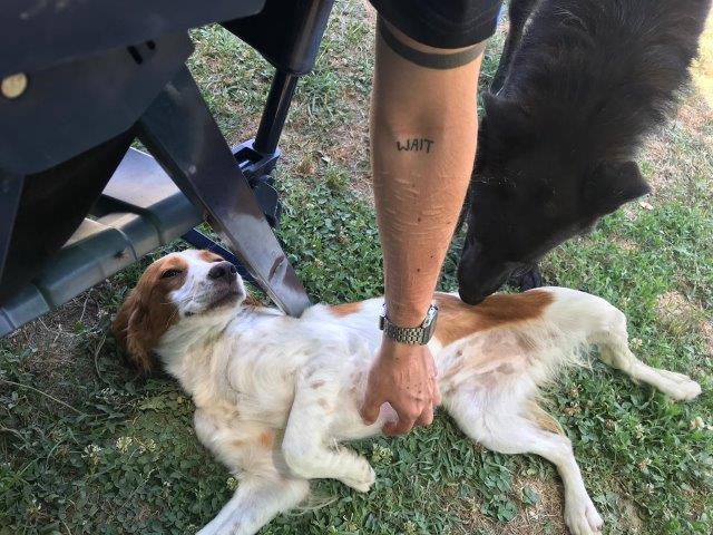 WhatsApp Image 2019-06-20 at 21.22.55 (1)