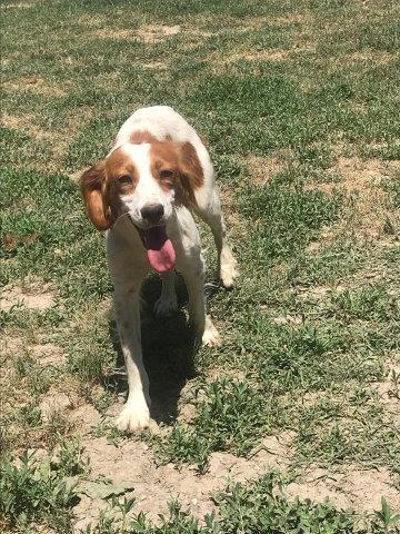 WhatsApp Image 2019-06-20 at 21.22.55 (3)