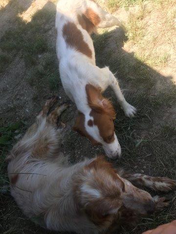 WhatsApp Image 2019-06-20 at 21.22.55