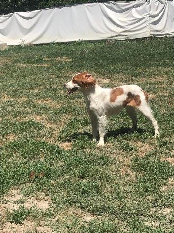 WhatsApp Image 2019-06-20 at 21.22.56 (1)