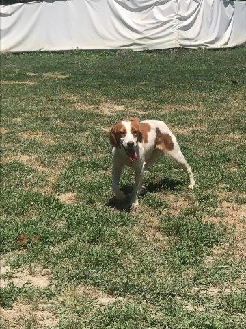 WhatsApp Image 2019-06-20 at 21.22.56