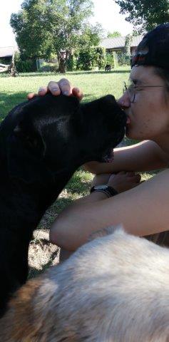 WhatsApp Image 2019-06-21 at 07.12.30