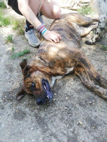 WhatsApp Image 2019-06-21 at 07.13.25