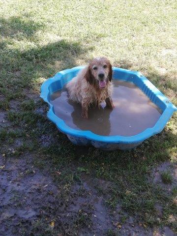 WhatsApp Image 2019-06-21 at 07.13.28