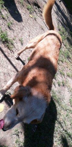 WhatsApp Image 2019-06-21 at 07.13.34 (1)