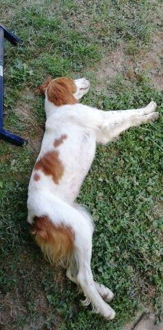 WhatsApp Image 2019-06-21 at 07.13.34