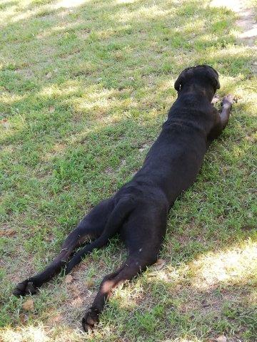 WhatsApp Image 2019-06-21 at 07.13.35 (1)