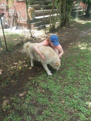 WhatsApp Image 2019-06-22 at 12.42.18