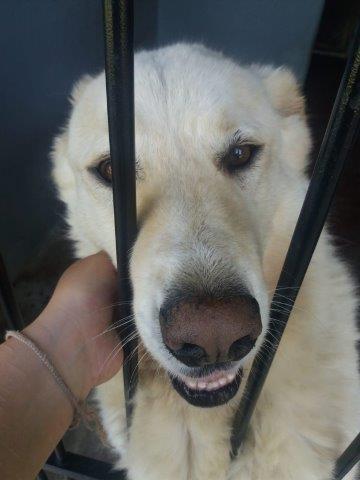 WhatsApp Image 2019-06-22 at 12.42.20 (1)