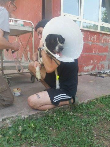 WhatsApp Image 2019-06-22 at 12.42.20 (2)