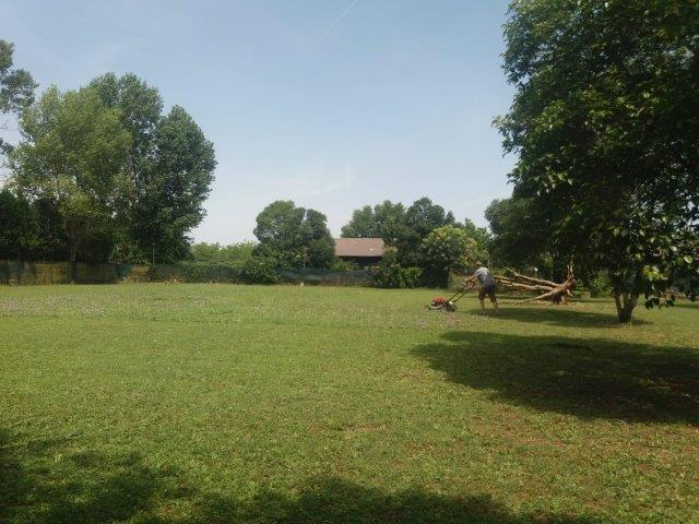 WhatsApp Image 2019-06-22 at 12.42.23 (1)