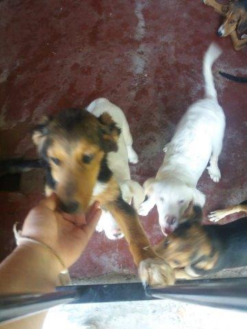 WhatsApp Image 2019-06-22 at 12.42.23