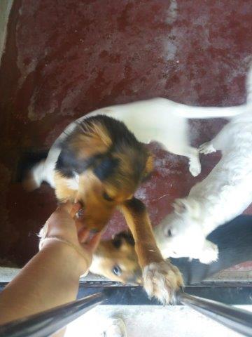 WhatsApp Image 2019-06-22 at 12.42.24 (1)