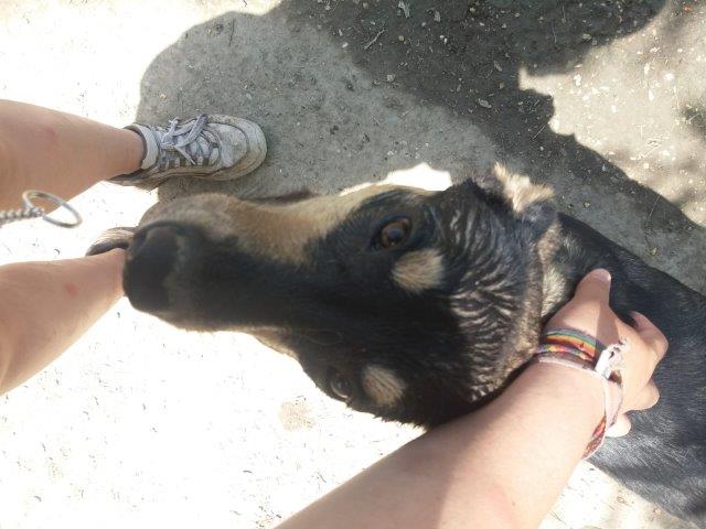 WhatsApp Image 2019-06-22 at 13.10.23