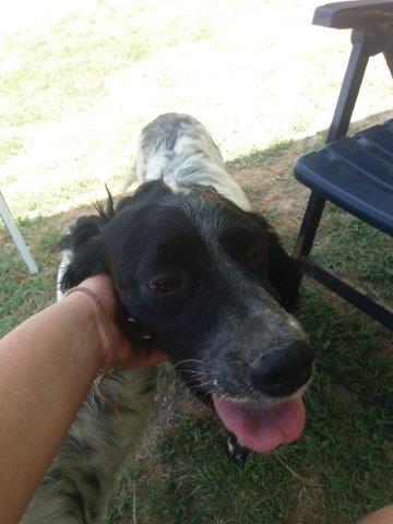 WhatsApp Image 2019-06-22 at 13.10.24