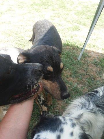 WhatsApp Image 2019-06-22 at 13.10.27