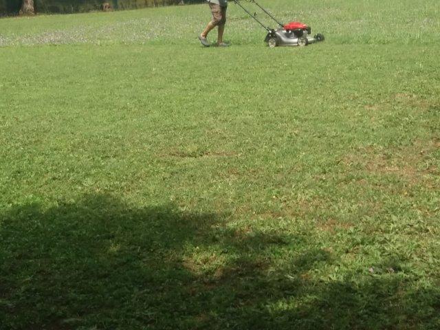 WhatsApp Image 2019-06-22 at 13.10.28