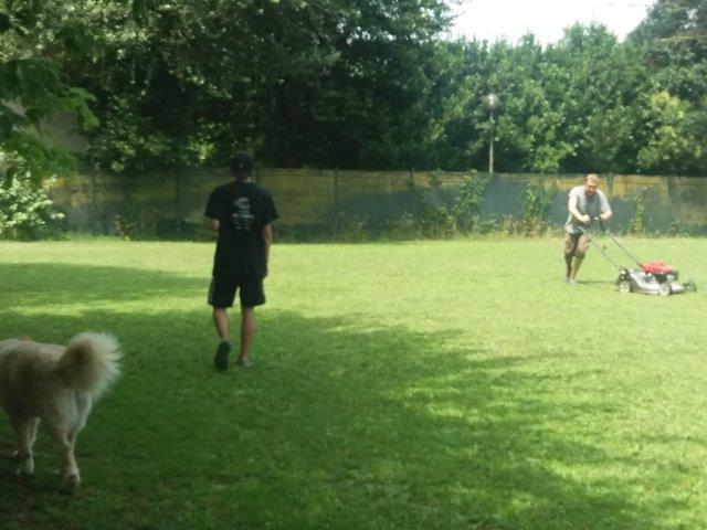 WhatsApp Image 2019-06-22 at 13.10.29