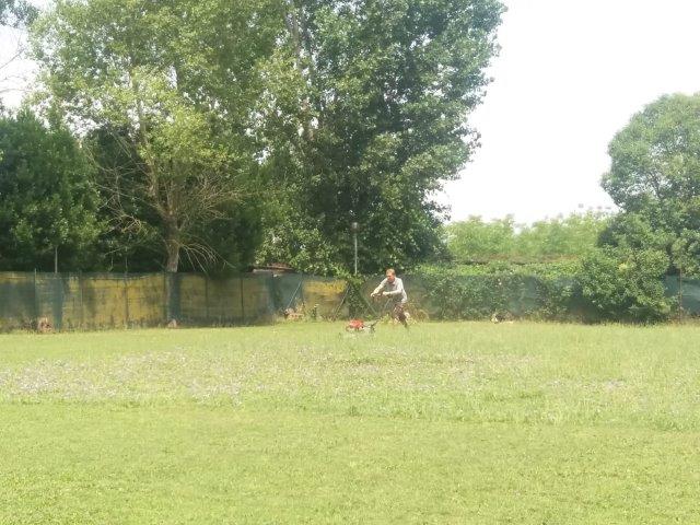 WhatsApp Image 2019-06-22 at 13.10.30 (1)