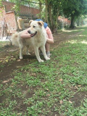 WhatsApp Image 2019-06-22 at 13.11.10