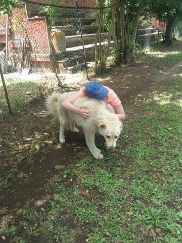 WhatsApp Image 2019-06-22 at 13.11.11