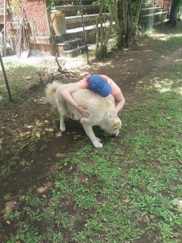 WhatsApp Image 2019-06-22 at 13.11.17